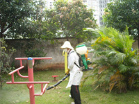 2014年4月30日康凈公司積極參加由南寧市愛(ài)衛(wèi)辦組織的服務(wù)全國(guó)體操錦標(biāo)賽主會(huì)場(chǎng)病媒防制工作